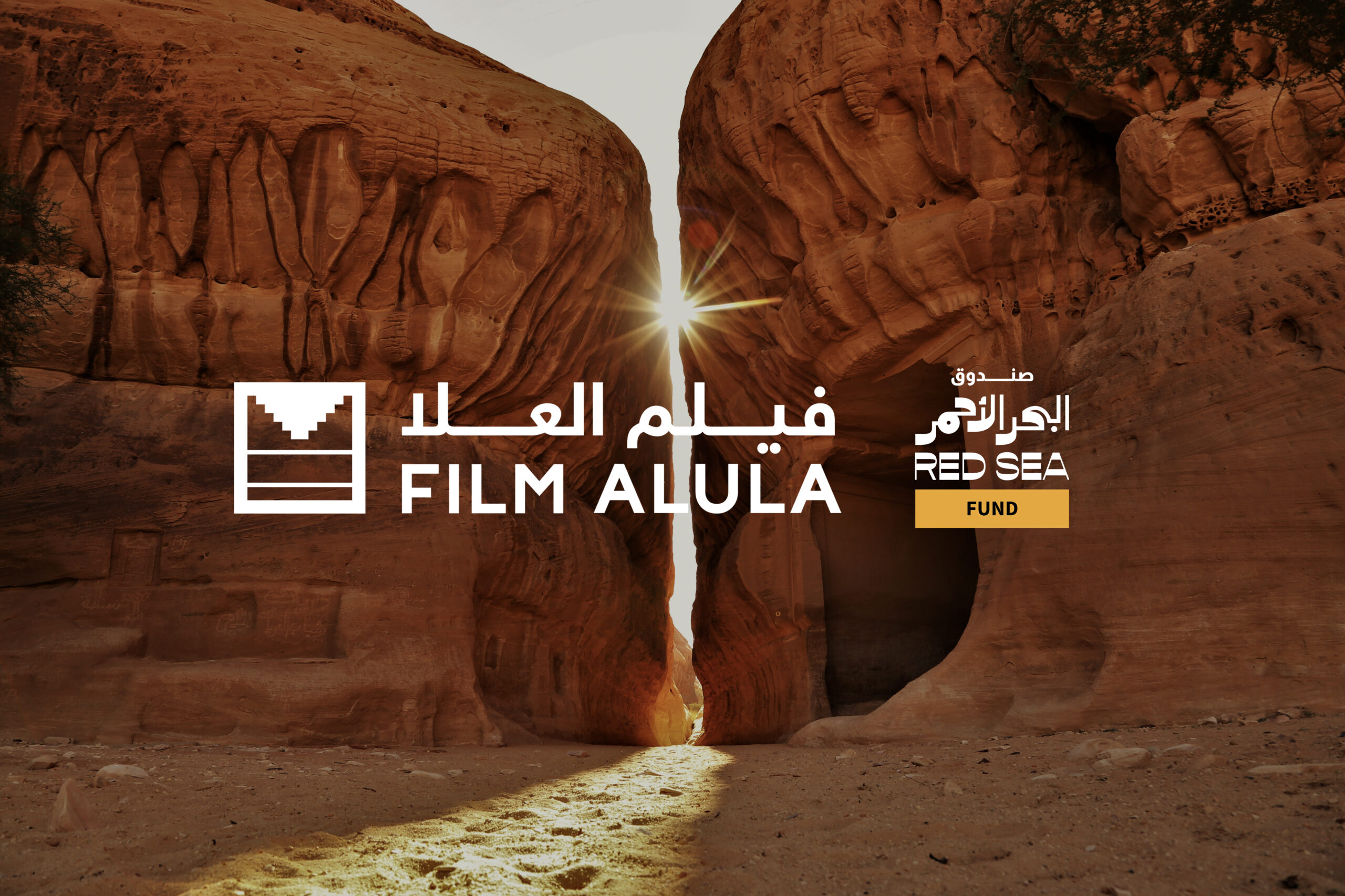 شراكة استراتيجية بين صندوق البحر الأحمر وفيلم العلا لدعم مشاريع سينمائية جديدة